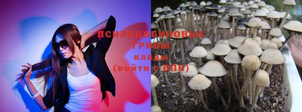 гидра Новодвинск