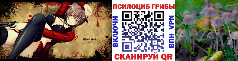 Галлюциногенные грибы мухоморы Североуральск
