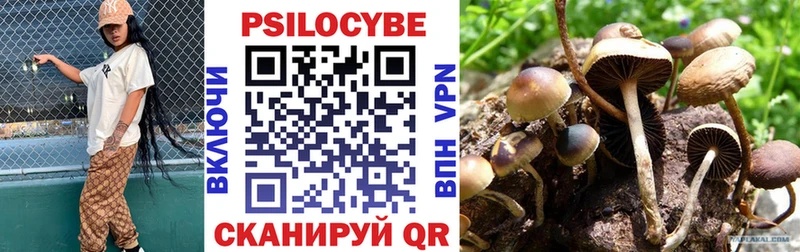 даркнет сайт  Североуральск  Галлюциногенные грибы Psilocybine cubensis 