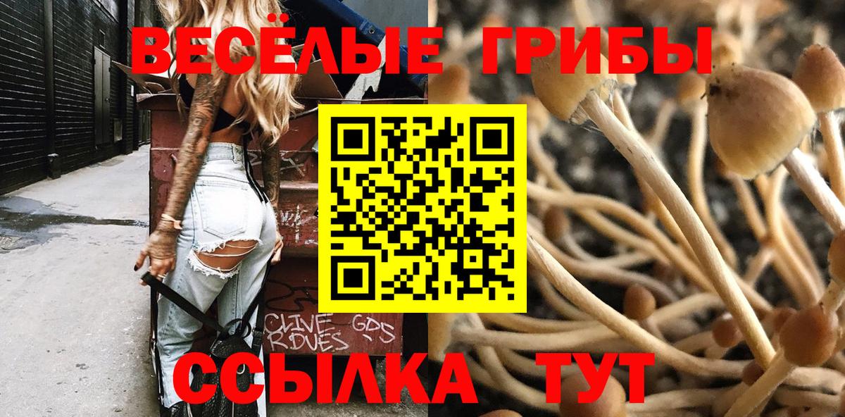 закладки  Галлюциногенные грибы MAGIC MUSHROOMS  Вход с VPN  Североуральск 
